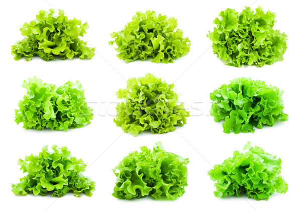 Lettuce Stock photo © sailorr