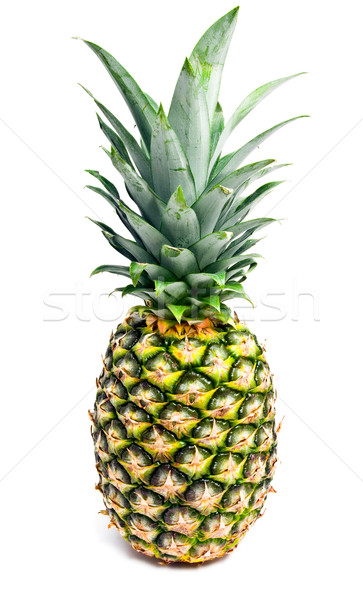 Pineapple Stock photo © sailorr
