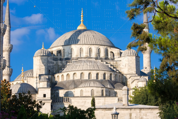 Azul mezquita Estambul Turquía edificio religión Foto stock © sailorr