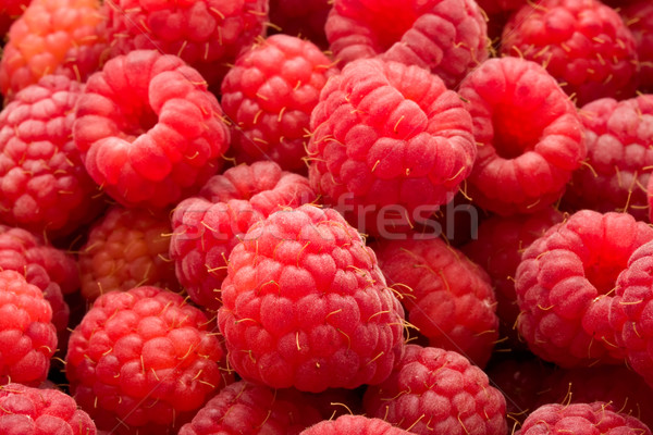 Raspberries Stock photo © sailorr