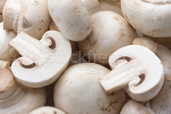 Champignon champignons modèle fond [[stock_photo]] © sailorr