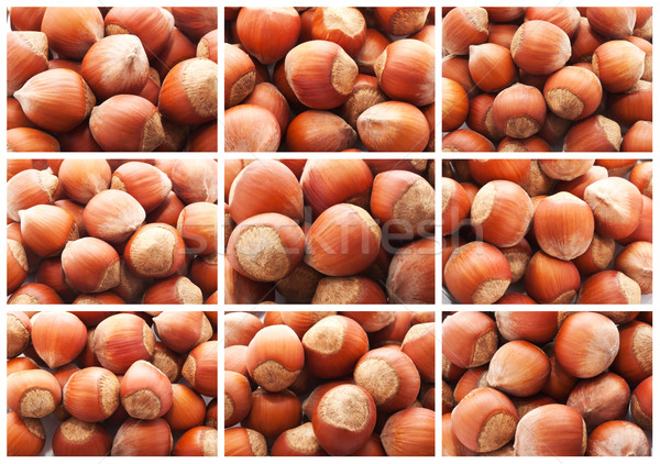 Hazelnuts or filbert nuts Stock photo © sailorr