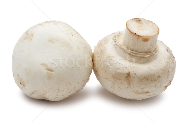 Stok fotoğraf: Champignon · mantar · taze · yalıtılmış · beyaz · gıda