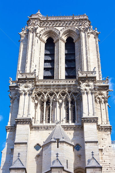 Notre Dame de Paris Stock photo © sailorr
