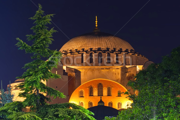 Stock fotó: Gyönyörű · éjszaka · kilátás · Isztambul · Törökország · épület