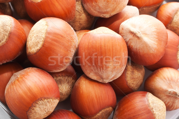 Hazelnuts or filbert Stock photo © sailorr