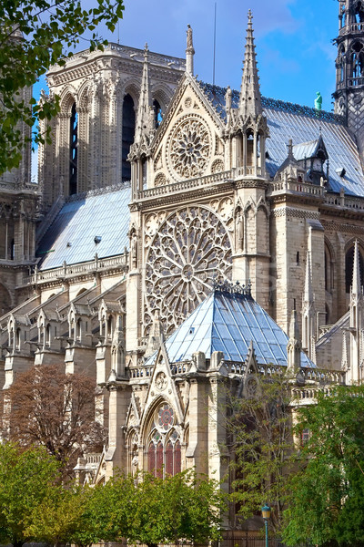 Notre Dame de Paris Stock photo © sailorr