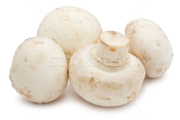 Champignon champignons fraîches isolé blanche alimentaire Photo stock © sailorr