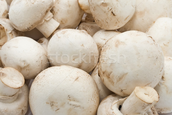Pieczarka grzyby raw food wzór tle Zdjęcia stock © sailorr
