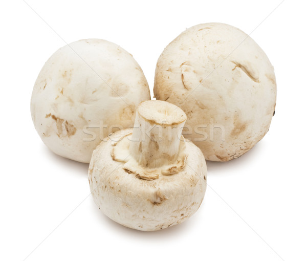 Champignon champignons fraîches isolé blanche groupe [[stock_photo]] © sailorr
