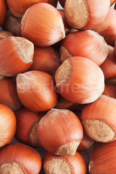 Hazelnuts or filbert Stock photo © sailorr