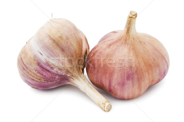 Garlic Stock photo © sailorr