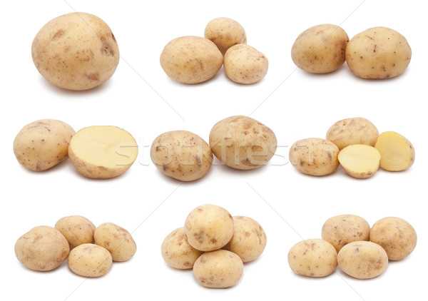 картофель коллекция свежие изолированный белый продовольствие Сток-фото © sailorr