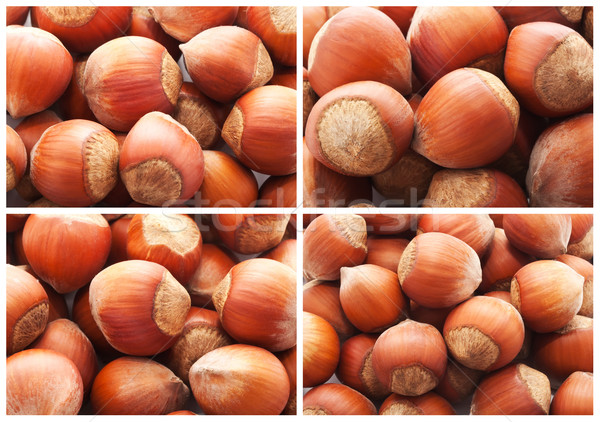 Stock photo: Hazelnuts or filbert nuts