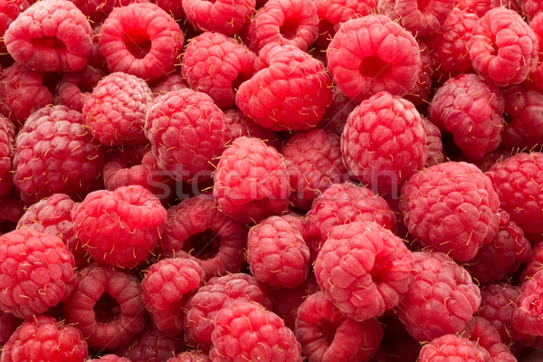 Raspberries Stock photo © sailorr