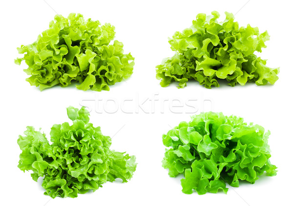 Foto stock: Alface · coleção · fresco · verde · salada · isolado