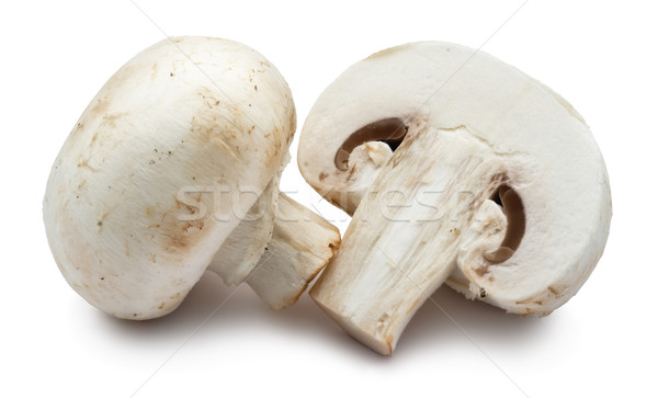 Champignon gombák friss izolált fehér étel Stock fotó © sailorr