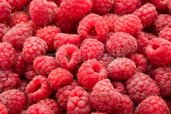 Raspberries Stock photo © sailorr