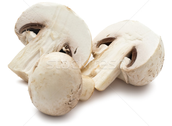 Champignon gombák friss izolált fehér étel Stock fotó © sailorr
