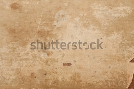 Canvas background Stock photo © sailorr