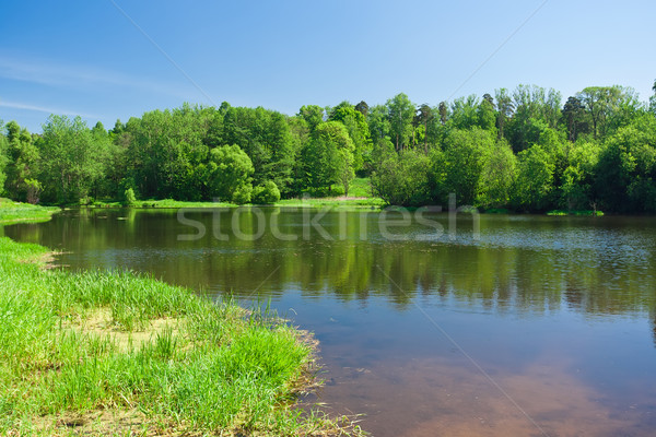 Summer landscape Stock photo © sailorr