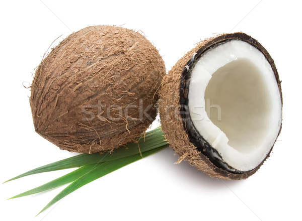 кокосового идеальный свежие изолированный белый лист Сток-фото © sailorr