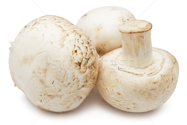 商業照片: 香蕈 · 蘑菇 · 新鮮 · 孤立 · 白 · 食品