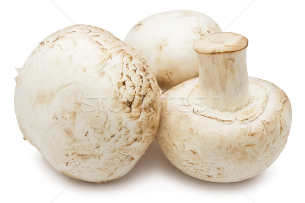 Champignon gombák friss izolált fehér étel Stock fotó © sailorr