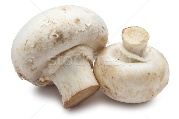 Champignon gombák friss izolált fehér étel Stock fotó © sailorr