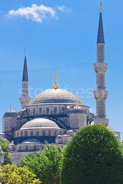 Blue Mosque Stock photo © sailorr