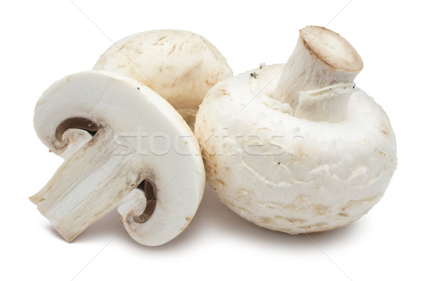 Champiñón setas frescos aislado blanco alimentos Foto stock © sailorr