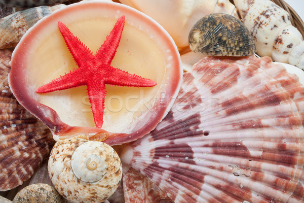 Foto stock: Tropicales · playa · de · arena · mar · fondo · océano