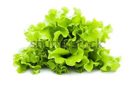 Lettuce Stock photo © sailorr