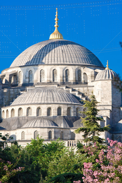 Albastru moschee Istambul Turcia constructii religie Imagine de stoc © sailorr