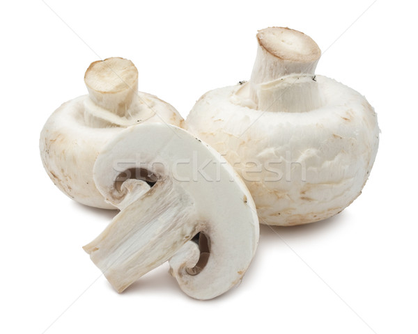 香蕈 蘑菇 新鮮 孤立 白 食品 商業照片 © sailorr