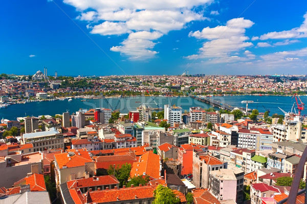 Gouden hoorn istanbul panoramisch toren Stockfoto © sailorr