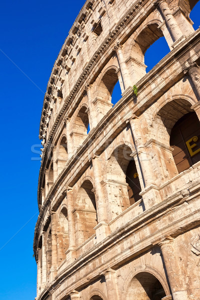 Colosseum in Rome Stock photo © sailorr