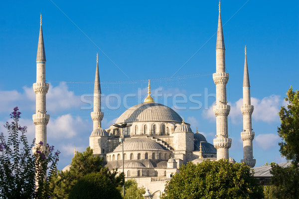 Blue Mosque Stock photo © sailorr