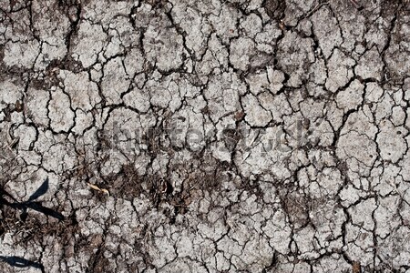 Asciugare terra screpolato terra texture sfondo Foto d'archivio © sailorr