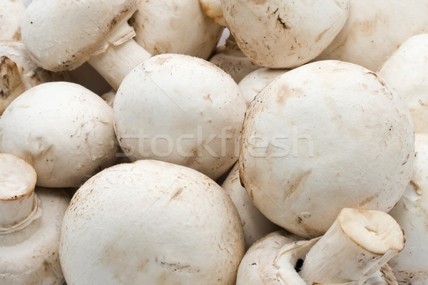 Champignon gombák készít nyers étel minta háttér Stock fotó © sailorr