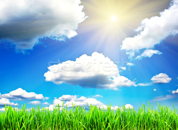 Frühling grünen Gras blauer Himmel Wolken Sonne Himmel Stock foto © sailorr