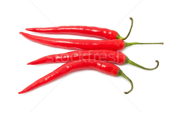 Hot chili pepper Stock photo © sailorr