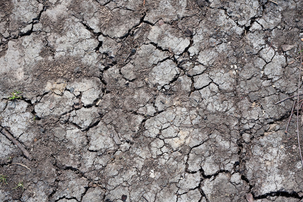 Dry land Stock photo © sailorr