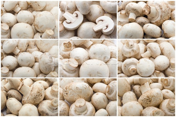 Stock fotó: Champignon · gombák · készít · nyers · étel · minta · egészség