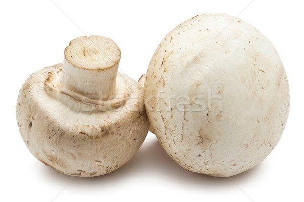 Champignon champignons fraîches isolé blanche alimentaire [[stock_photo]] © sailorr