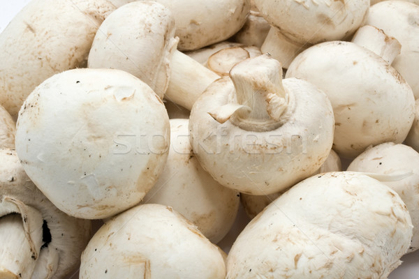 Champignon ciuperci alimente crude model fundal Imagine de stoc © sailorr