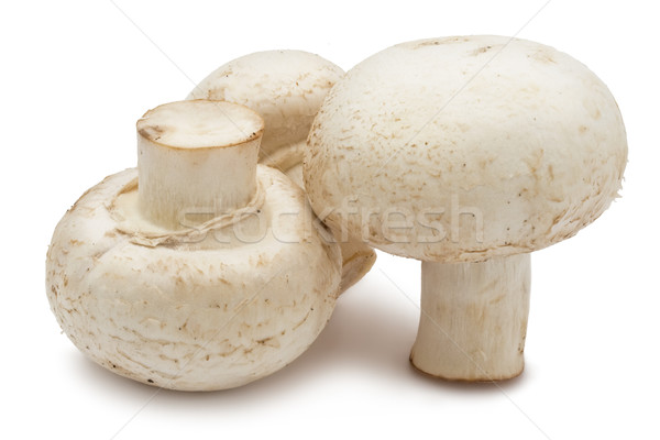 Champignon ciuperci proaspăt izolat alb alimente Imagine de stoc © sailorr
