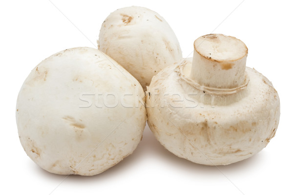 Champignon ciuperci proaspăt izolat alb alimente Imagine de stoc © sailorr