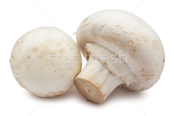 Champignon gombák friss izolált fehér étel Stock fotó © sailorr