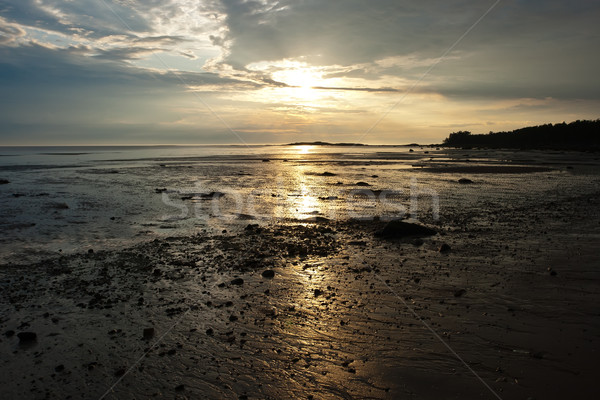Sea sunset Stock photo © sailorr